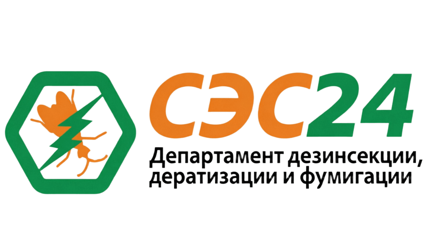 Логотип СЭС24 (основной)
